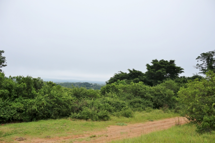 0 Bedroom Property for Sale in Bathurst Eastern Cape